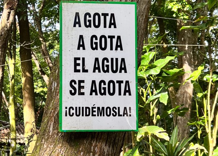 Agua Agua